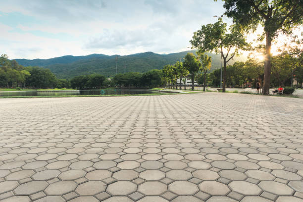 Best Professional Driveway Pavers  in Coshocton, OH